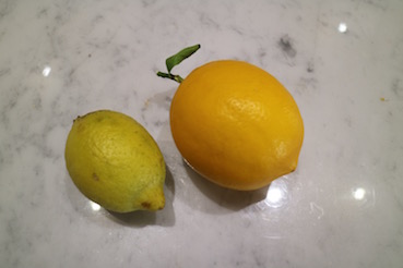 通常サイズのレモン（左）と我が家の超ビッグサイズレモン（右）